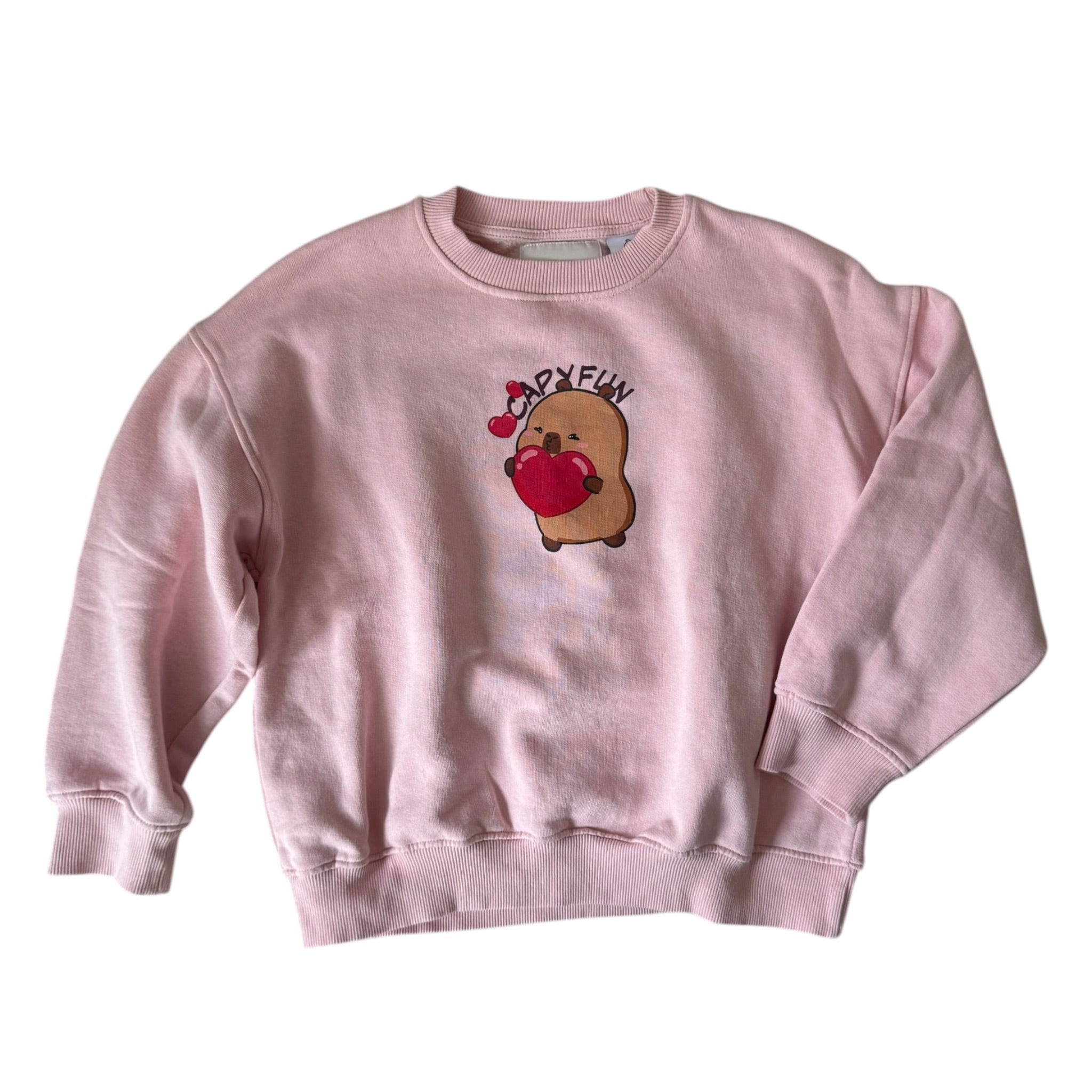 Prelove Kinder Sweatshirt Capyfun Zara Gr. 140